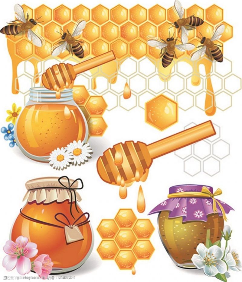 美味蜂蜜矢量图图片素材